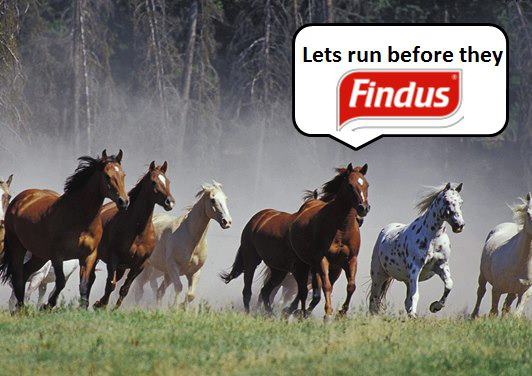 http://2.bp.blogspot.com/-eQGounszIAw/URt4wf5eswI/AAAAAAAAUOs/cP7CkVw5O7U/s640/Lets+Run+Before+They+Findus.jpg