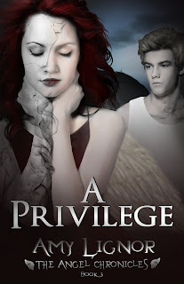 A Privilege: The Angel Chronicles, Book 3 Amy Lignor