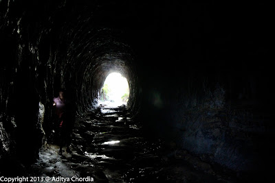 Glow Worm tunnel entrance