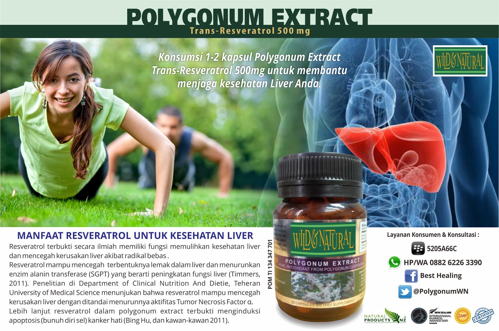 Fungsi Resveratrol Untuk Kesehatan Liver