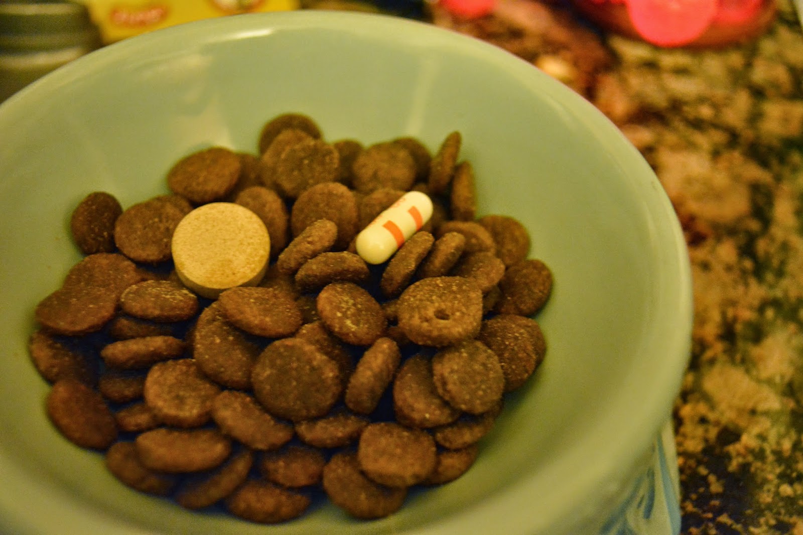 The Dog Geek 10 Ways to Get Pills Into a Dog.