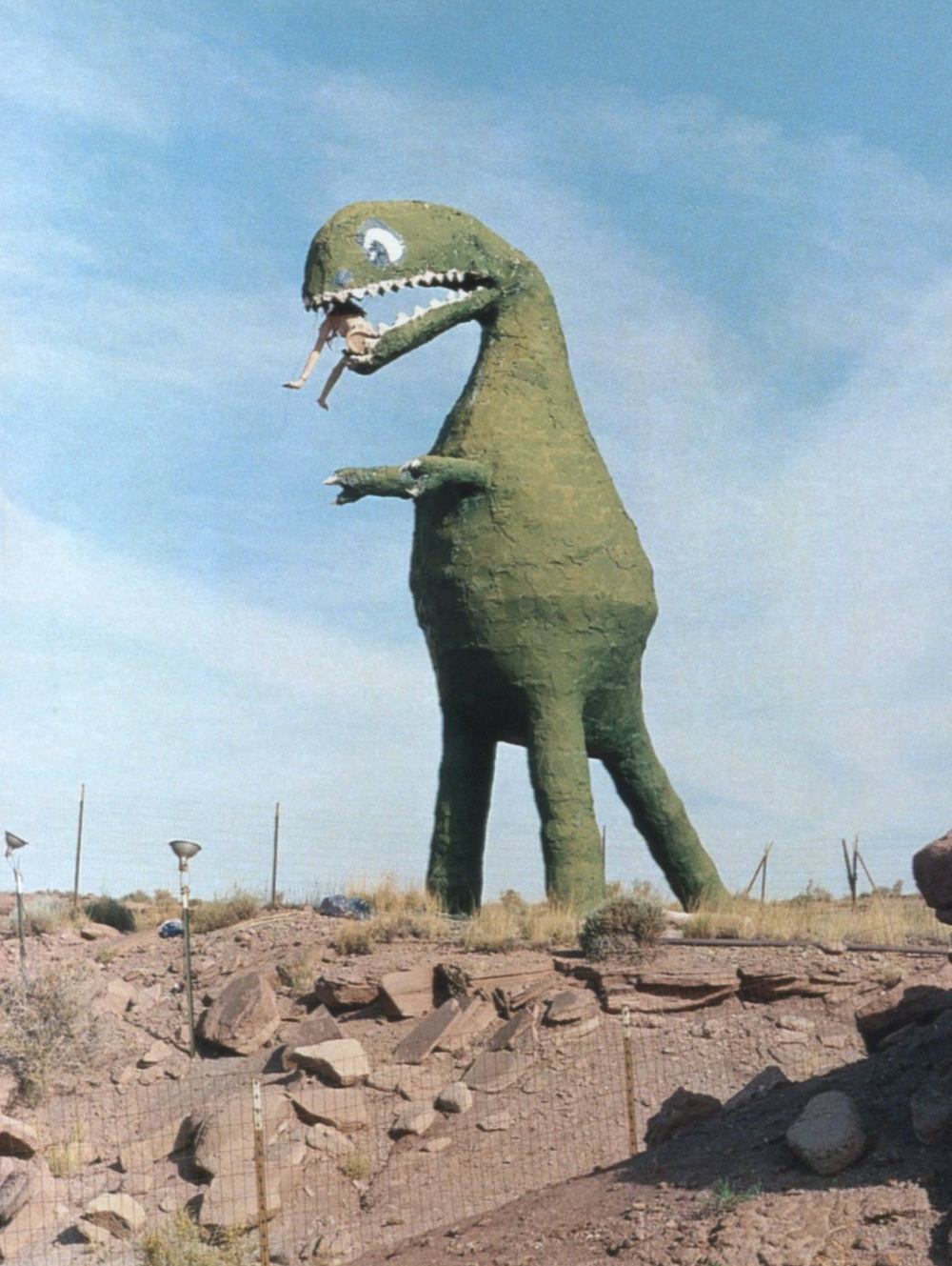 Dinosaurs EVERYWHERE! The Dainty Squid