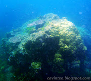 Snorkeling in Redang Island (Episode One)Kalong Bay (snorkeling in redang island episode one kalong bay large )