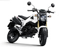 Honda MSX125