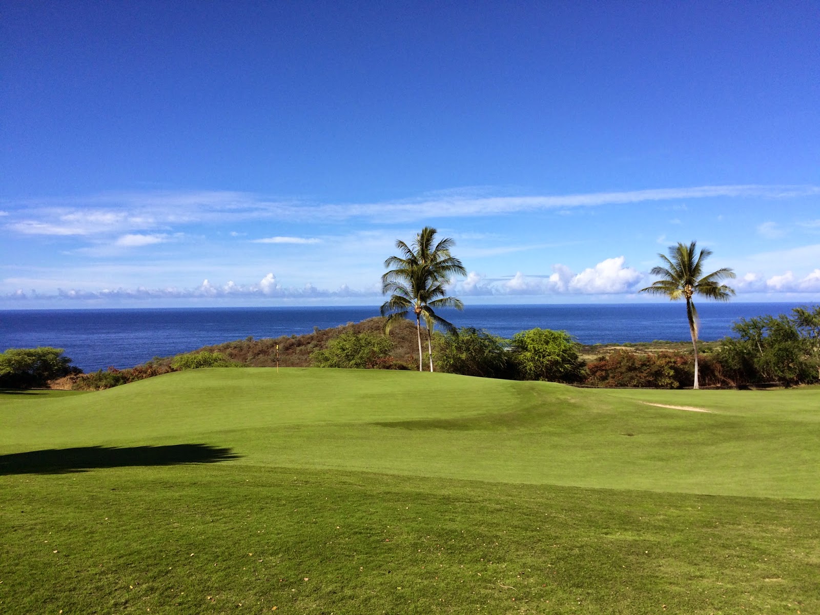 TASTE OF HAWAII HOKULIA GOLF CLUB