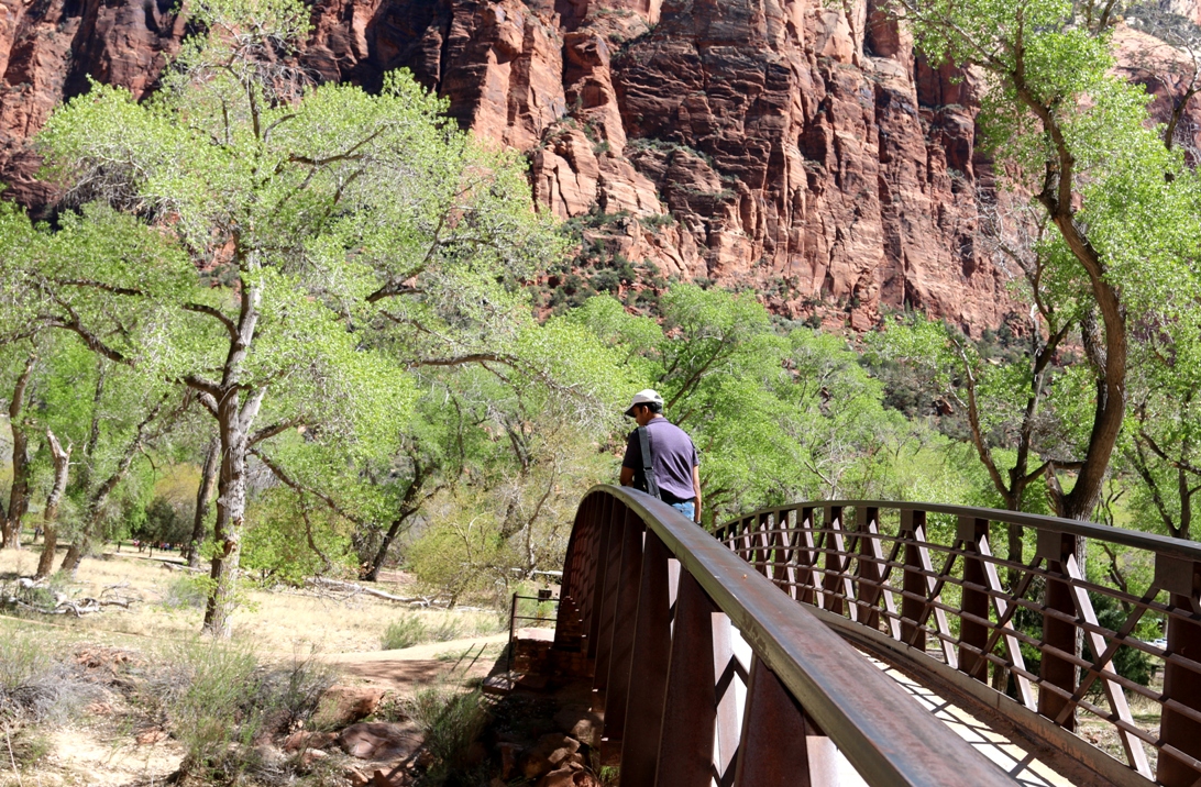 A photo, A thought............ Place Spring break visit to Zion