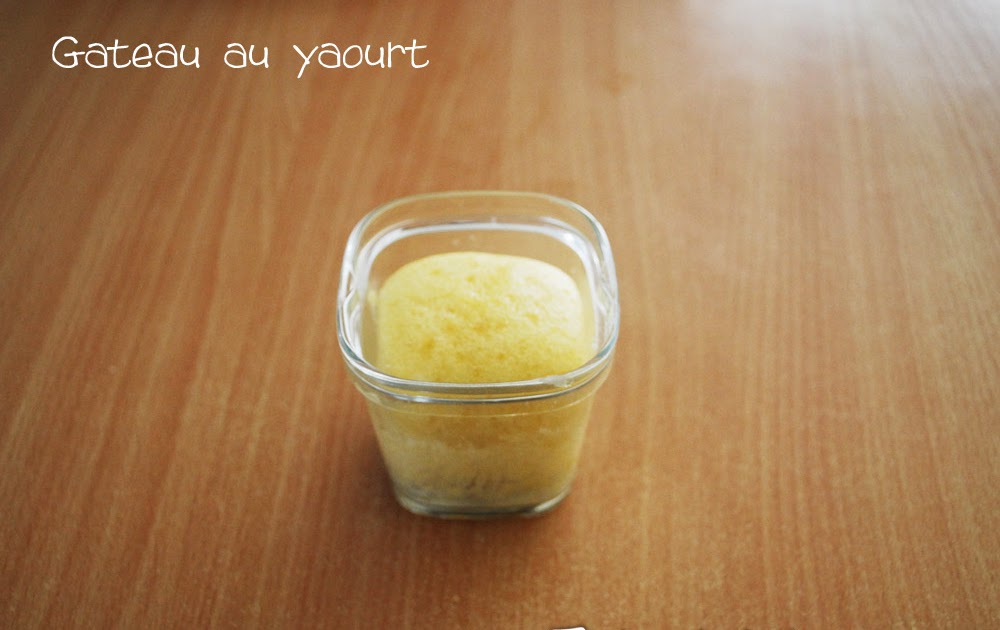 Tout Est Fait Maison Gateau Au Yaourt Yaourtiere Seb Multi Delices