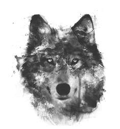 WOLFSMÄDCHEN 