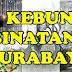 Info Terbaru Wisata Kebun Binatang Surabaya 2014