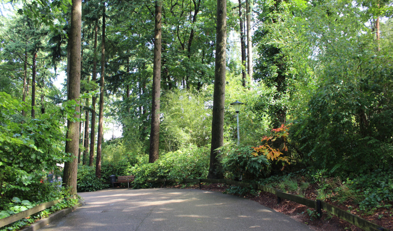 Hundeblog Genki Bulldog Varengeville Sur Merhundeblog Genki