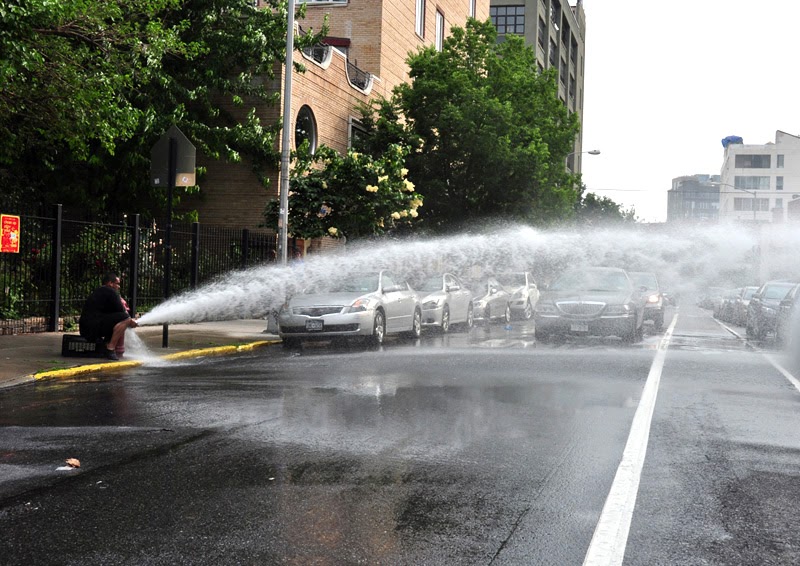 Olivia's tea cup It's HOT in New York City