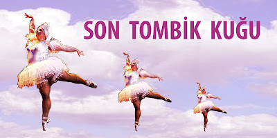 son tombik kugu