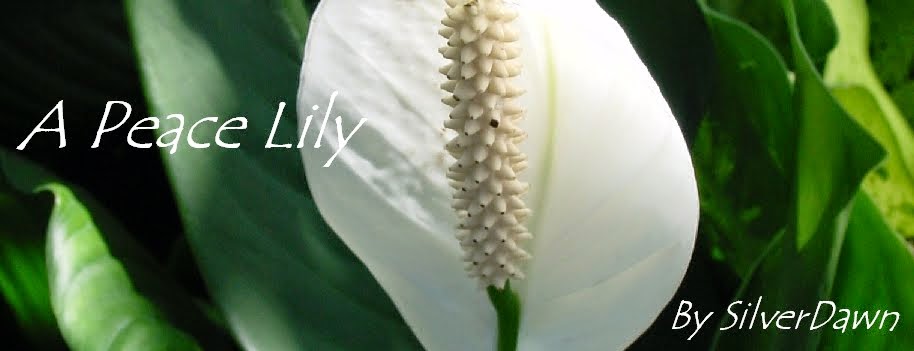 A Peace Lily