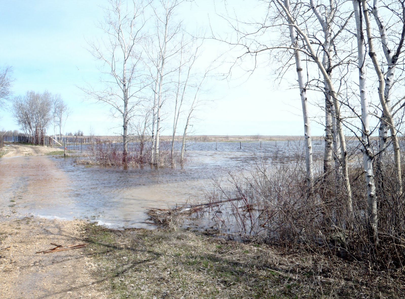 The changing scene Lake St. Martin