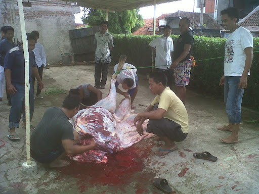 Qurban Yamsik - Happy Eid Al-Adha 1432 H