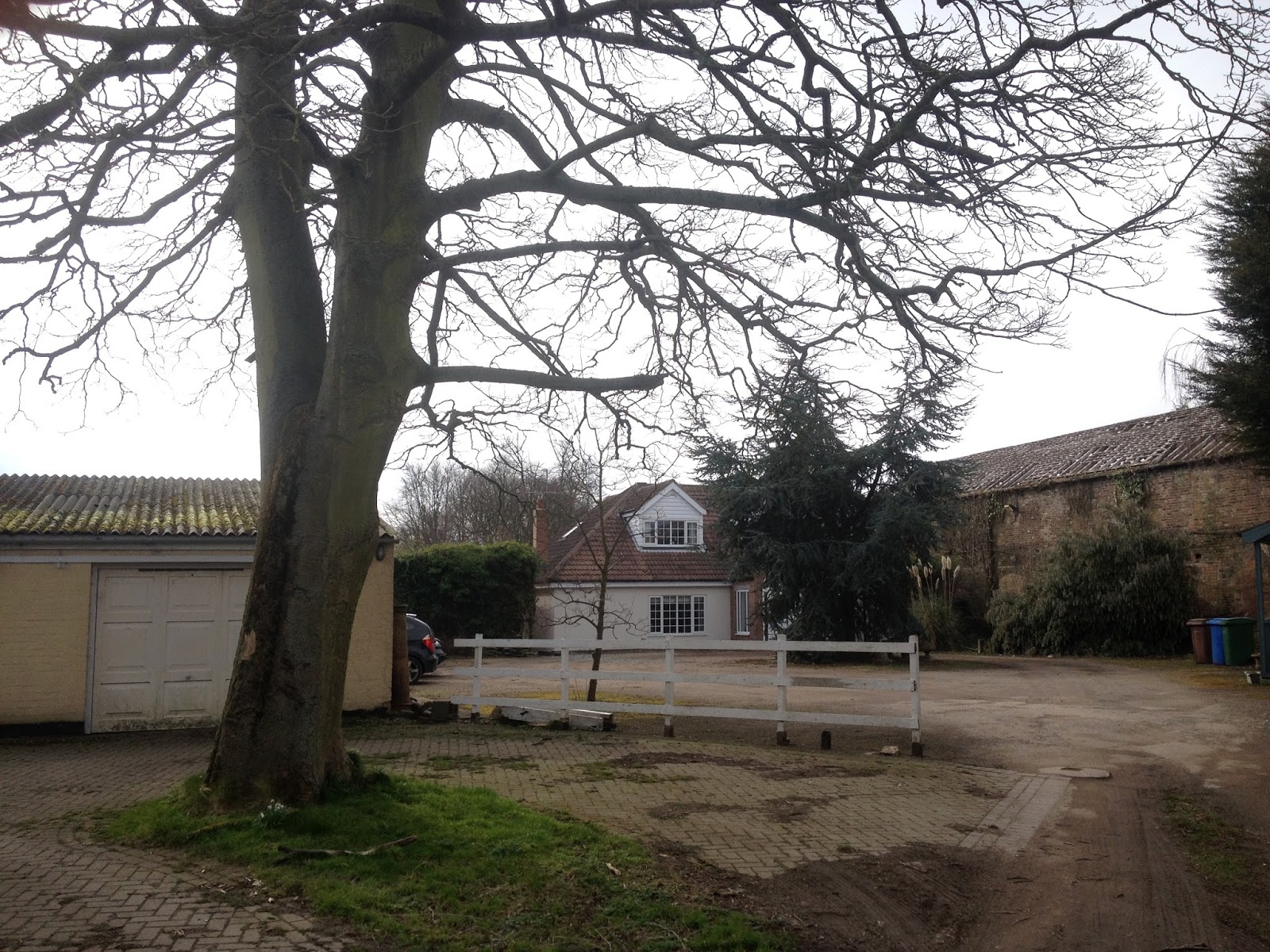 Garden Designer In The Hull Area, Beverley, East Yorkshire, North