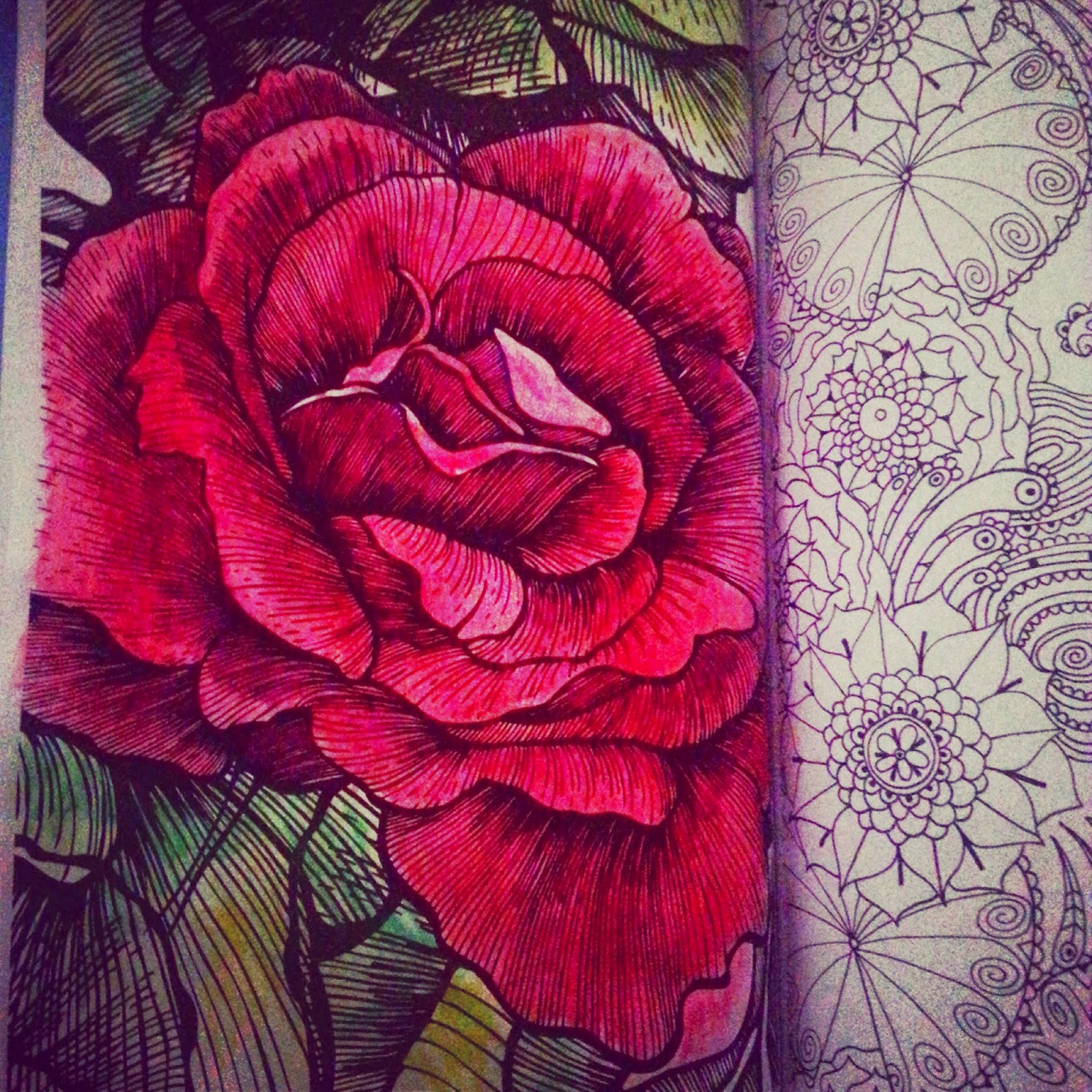 Dibujo de Ramo de rosas para Colorear Dibujos - Imagenes De Rosas Hermosas Para Colorear