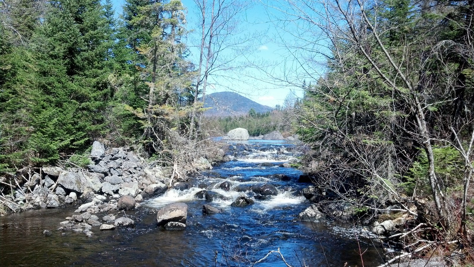 Off on Adventure Wolf Pond Vanderwhacker Mountain Wild Forest 5/5/13