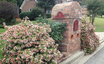 An East Sussex Garden Berberis Darwinii