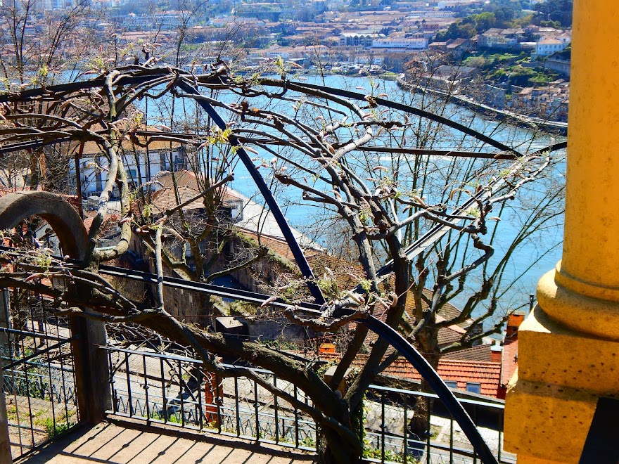 RIO DOURO - GAIA-PORTO-PORTUGAL