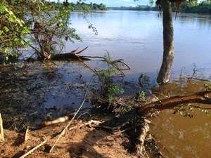 Polícia investiga tronco humano e perna achados em rio de Rondônia