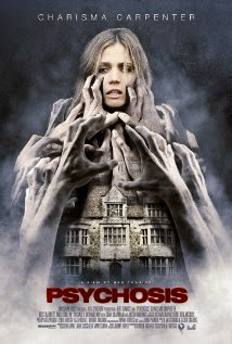 Psychosis (2010) full movIe free onlIne watch Psychosis (2010) poster