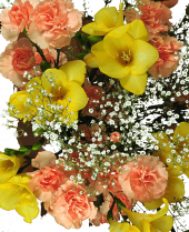 bright flowers by post bright flowers by post