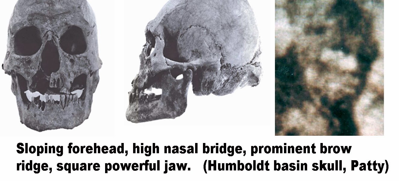 The SlopeHeaded Ones America's Original Tribe?