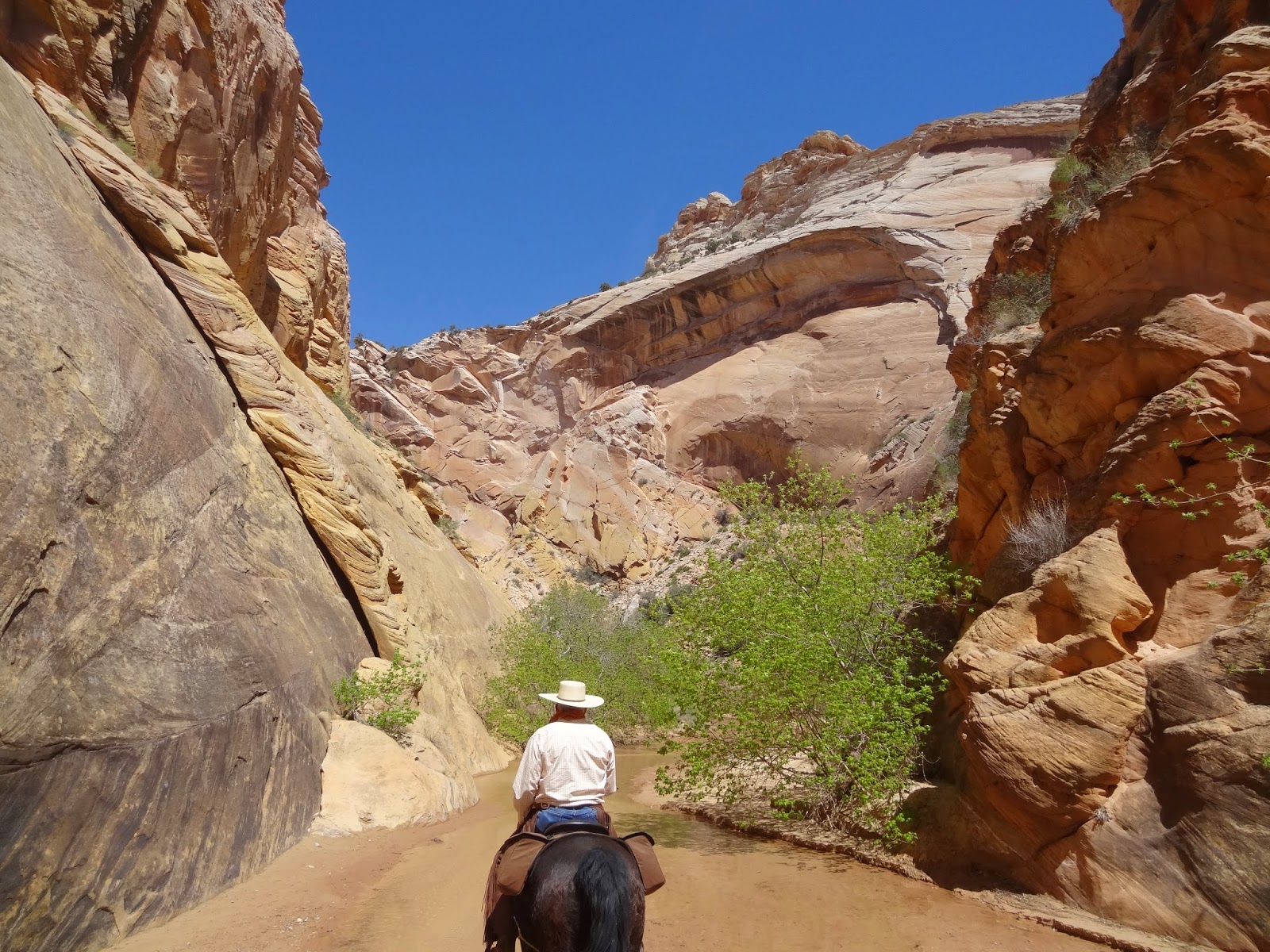 Dream Packer Trail Adventures Paria River to Lower Hackberry Canyon, Utah
