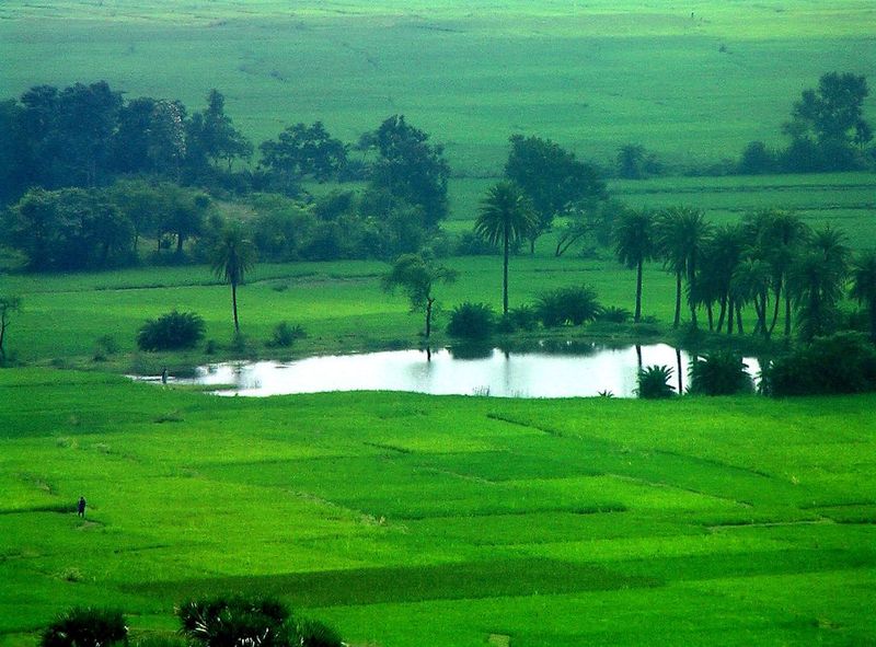 West Bengal Travel Guide Jhilimili is a quiet and pleasant place for