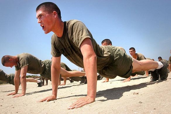 Pushups And Sit Ups Build Muscle