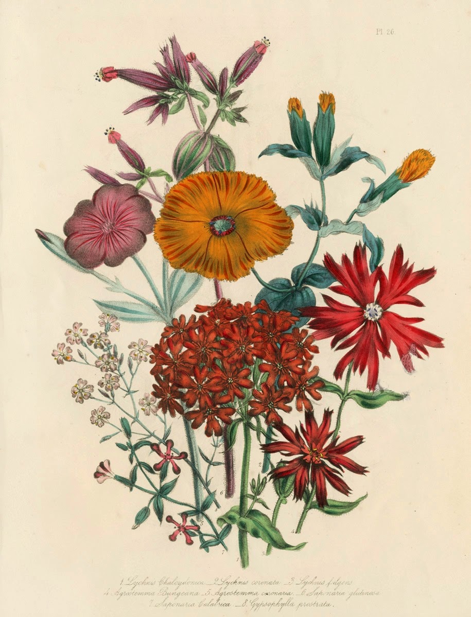 Infotainment @ www.keralites.net Fun & Info @ Keralites.net