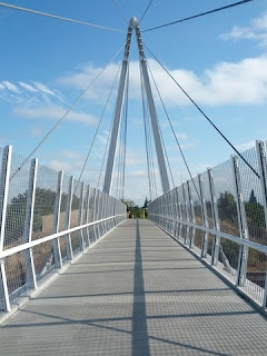 Railing on the Mary Avenue suspension bridge casting a shadow dead center on the deck.