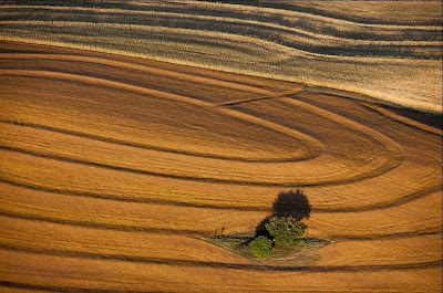 slide 293173 2361859 free