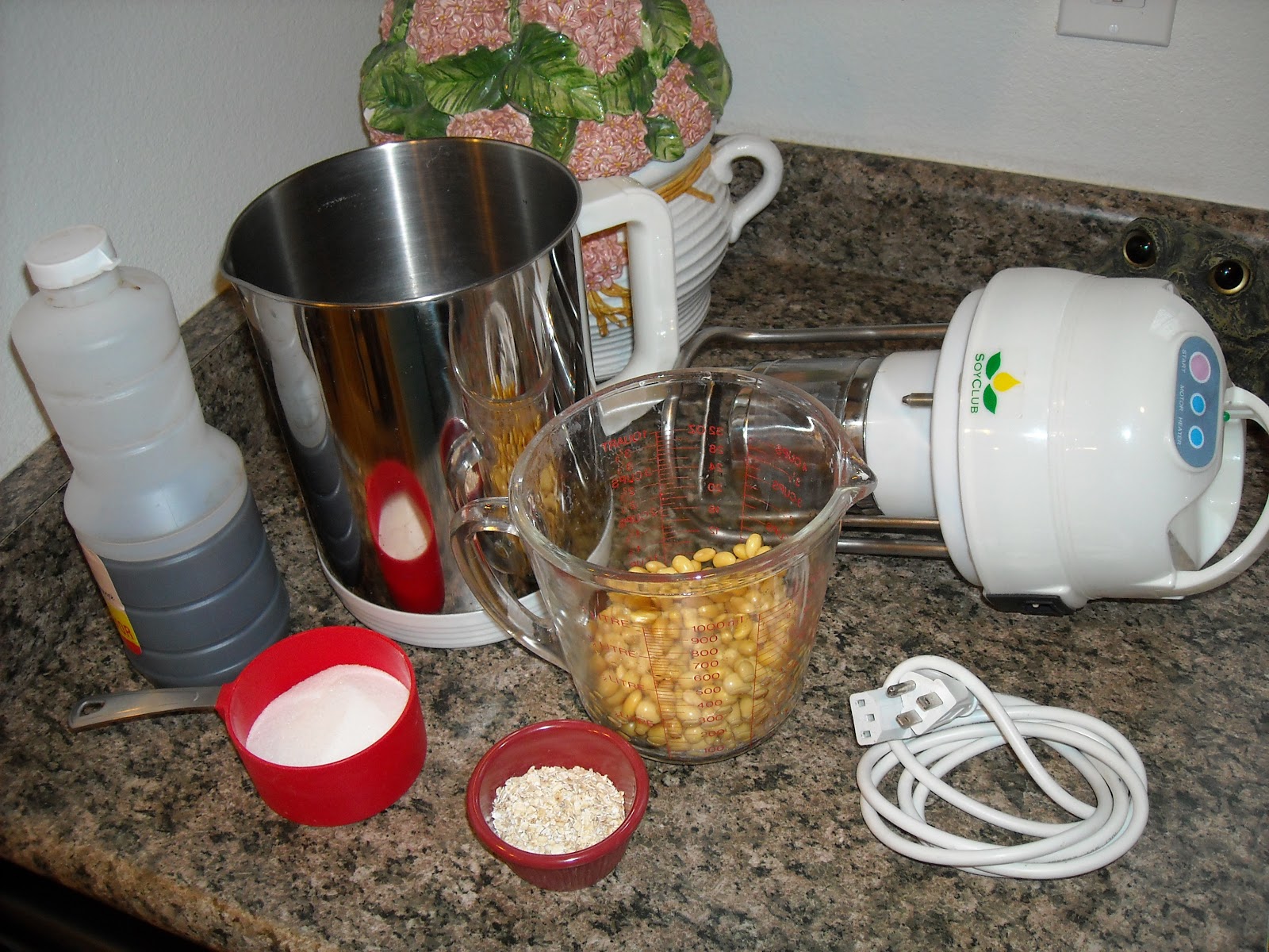 Make your own Smooth Soy Milk