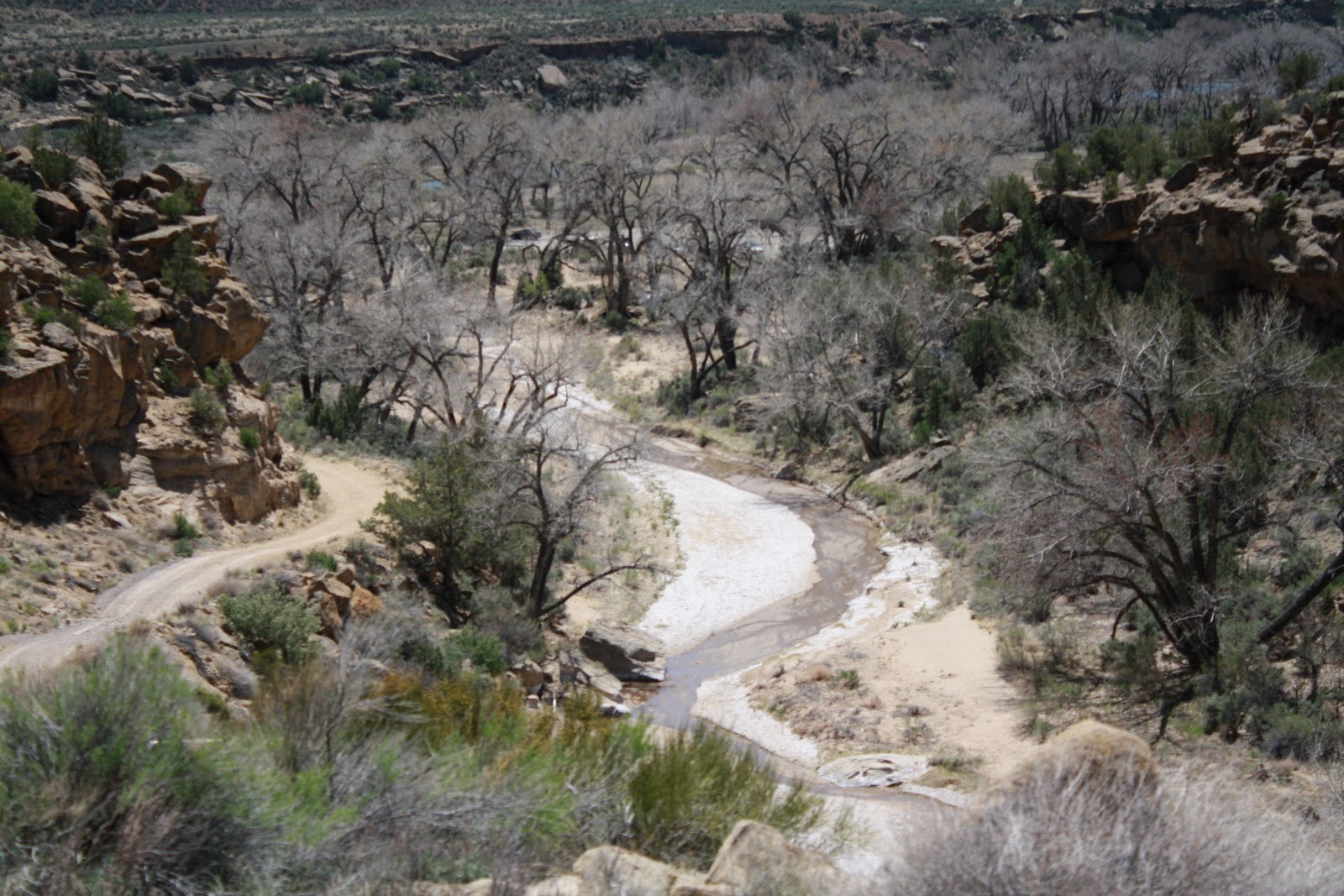 Simple Things Notebook Glimpses of Spring in New Mexico