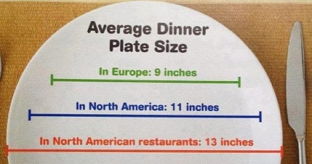 astonishing average dinner plate size contemporary best image dinner plate size