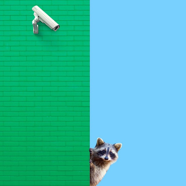 Красочная архитектура