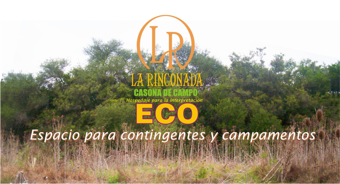 ECO - La Rinconada