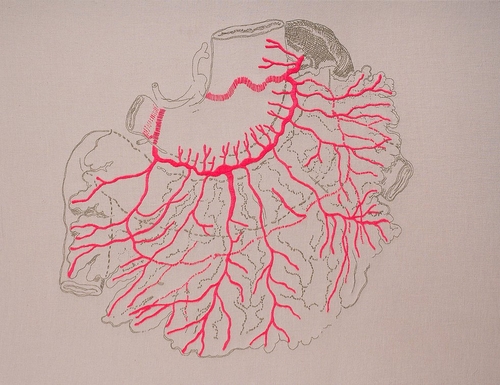 12-Mesentery-Juana-Gómez-Embroidered-Anatomy-exposing-Internal-Physiology-www-designstack-co