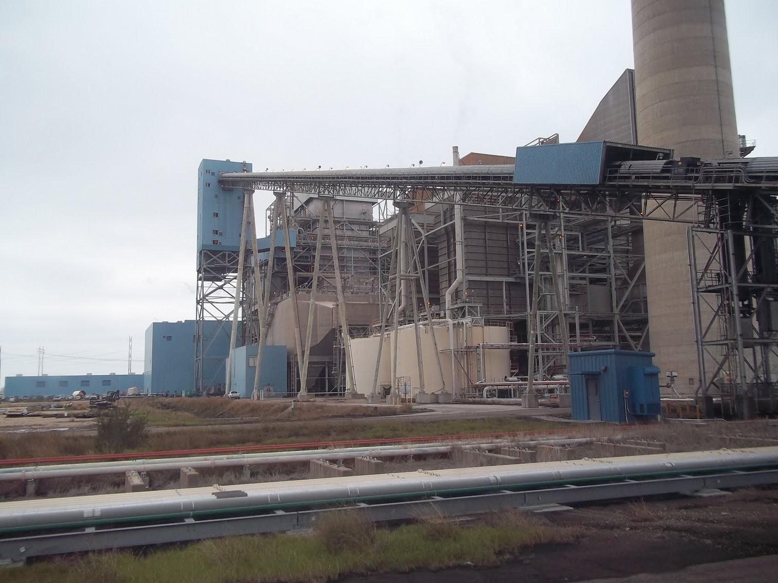 CSIChallenging Scientific Investigations 4th Grade