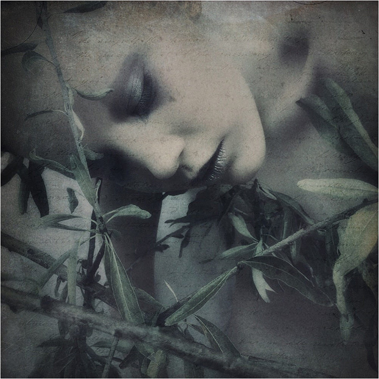 Emerging Photographers, Best Photo of the Day in Emphoka by Louisecwhiting Emerging Photographers, Best Photo of the Day in Emphoka by Louisecwhiting