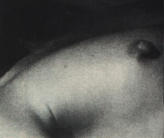 10 Rare Nudes #3 (Sheryl Crow, Tatum O'Neal, Julia Roberts) 193 Katherine+Ross+(1)