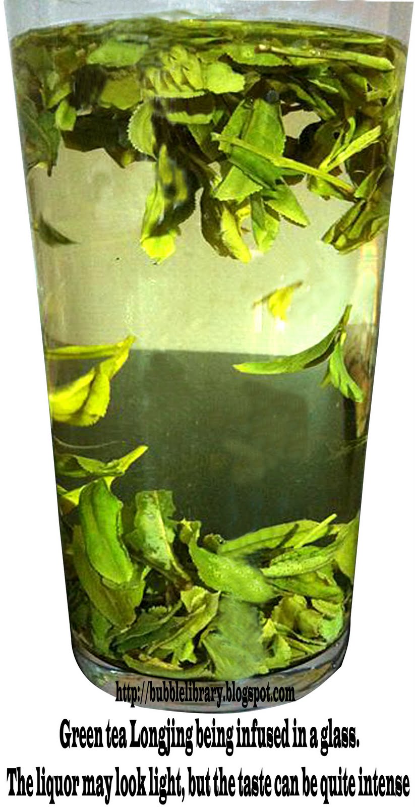 B u B b L e L i B R A R Y When was tea first grown?