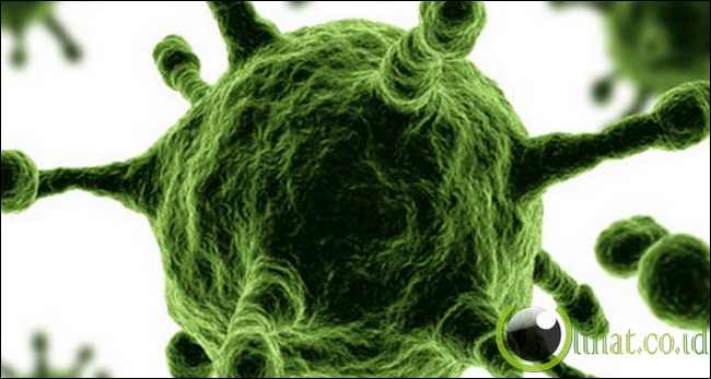 Perangkat Unik Meniru Virus Perangkat Unik Meniru Virus