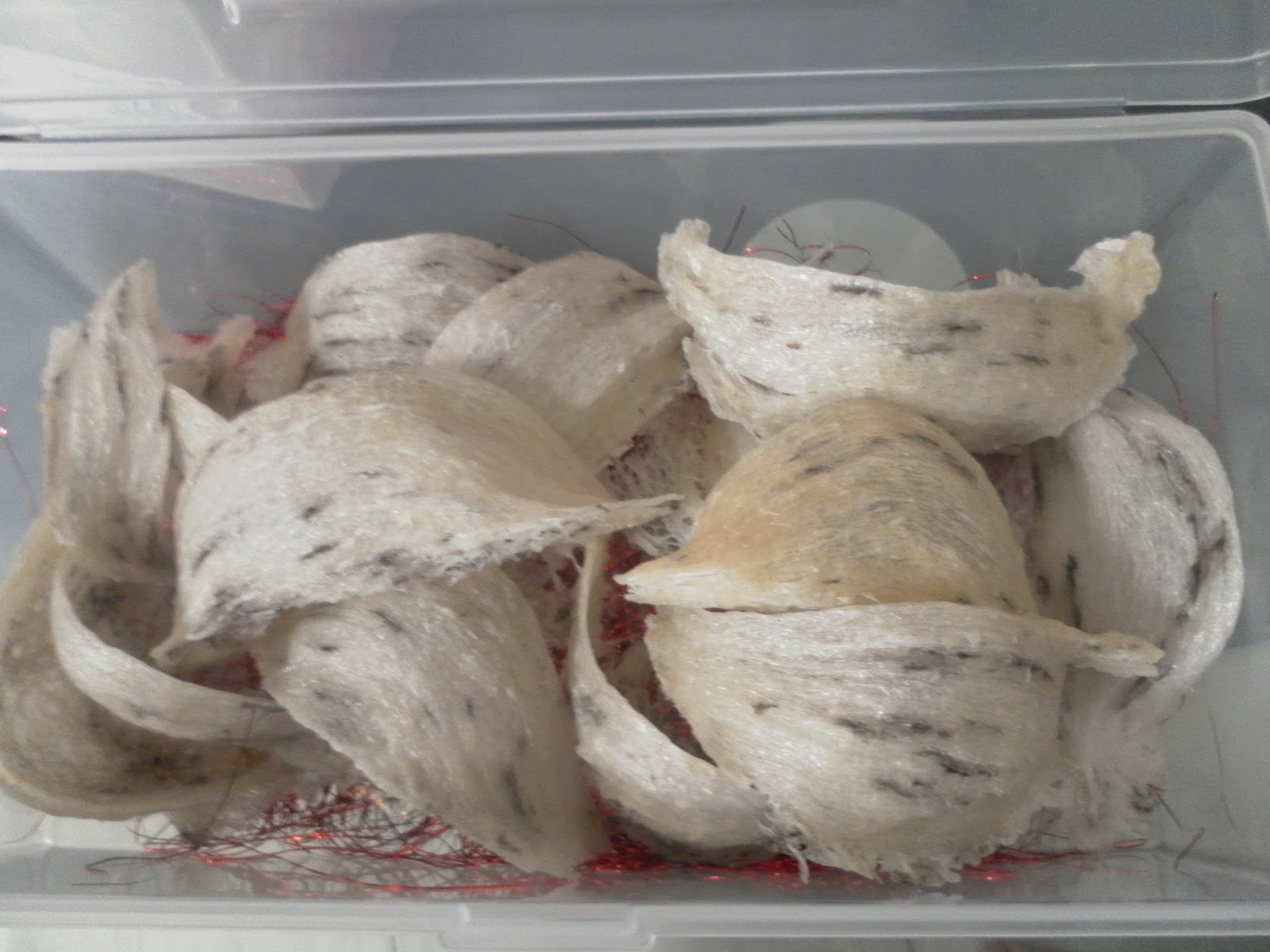 NUMIT Bird Nest 浓密燕窝 BIRD's NEST ORIGINATED FROM TAIPING, MALAYSIA