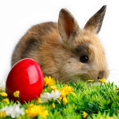 Easter gift e-cards download free wallpapers for Apple iPad