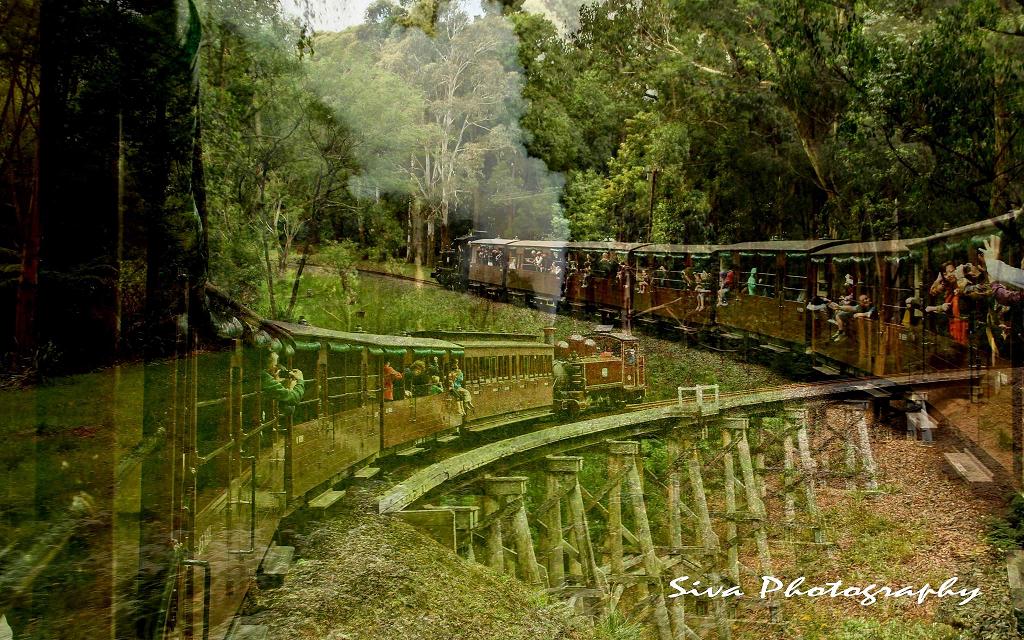 Puffing Billy