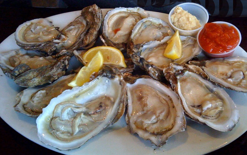 nourish the beast Nancita's Salt Life Summer