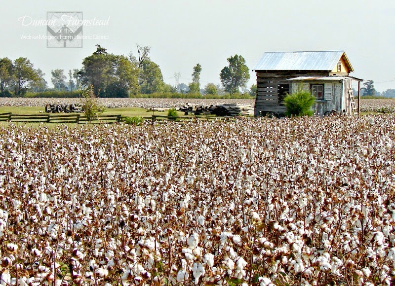 Duncan Farmstead White as Snow